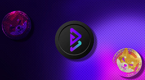 Bitgert Left Shiba Inu Coin Miles Behind In Development & Delivery