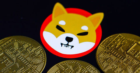 Shiba Inu Hype Overtaken By Bitgert Because Of Its BRC20 Blockchain