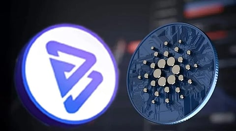 Cardano (ADA) Institutional Investors To Join Bitgert?