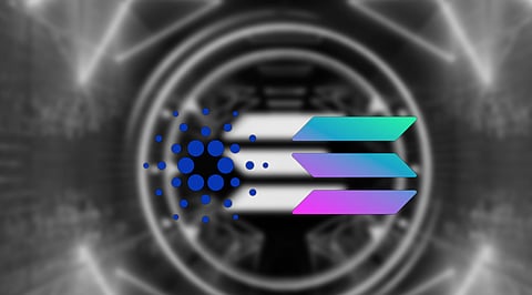 Cardano and Solana Underperforming, Bitgert is the Winner