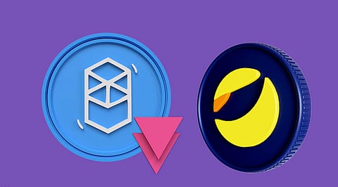 What Fantom (FTM) and Terra (LUNA) Doesn’t Have What Bitgert Has?