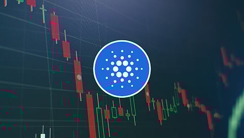 Why Solana, Cardano, and Polkadot Are Bearish, In Meantime Bitgert Has Become Super Bullish – Know The Facts Here
