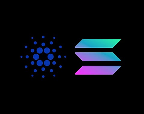 Cardano (ADA) & Solana (SOL) Whales Keep Buying Bitgert