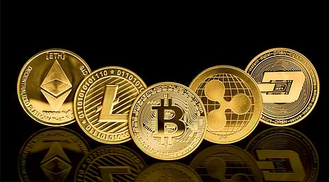 Baby Doge, Saitama Inu or Bitgert – Which Crypto Is The Best?