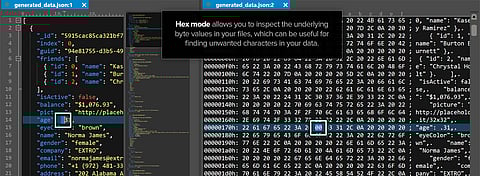 20 Things You Should Know About A Hex Editor v1.1
