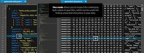 20 Things You Should Know About A Hex Editor v1.1