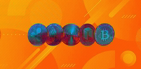 Matic Community Joining Bitgert For Faster Growing Ecosystem