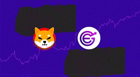Shiba Inu and EverGrow Coin See Coin Burning Frenzy