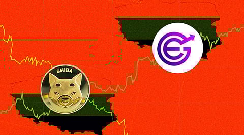 Shiba Inu price today falls 3% as EverGrow Coin soars 14%