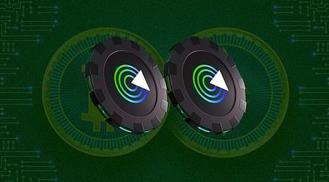 Are Avalanche (AVAX), Near Protocol (NEAR), and Gnox Token (GNOX) Strong Bets for King-Sized Gains in 2022?