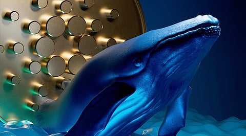 Cardano Whales Exit Which Dropped the Price Massively