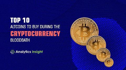 Top 10 Altcoins to Buy During the Cryptocurrency Bloodbath