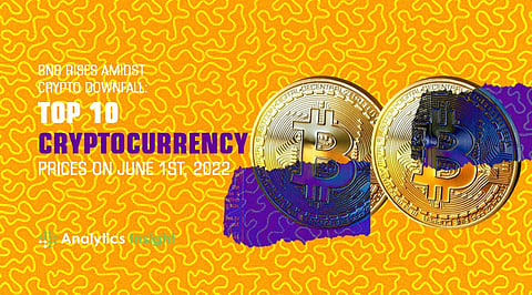 BNB Rises Amidst Crypto Downfall: Top 10 Cryptocurrency Prices on June 1st, 2022