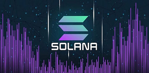 This Explains Why Bitgert Community Is Growing Faster Than Solana This Month