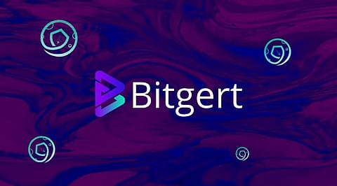 Is Bitgert (BRISE) Slowly Killing Safemoon (SFM)? Facts You Need To Know