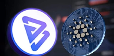 You Should Now Buy Bitgert As The Best Cardano Alternative – Reasons