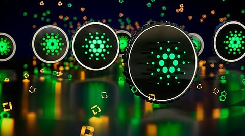 Cardano and EverGrow Coin accumulation breaks records in July 2022