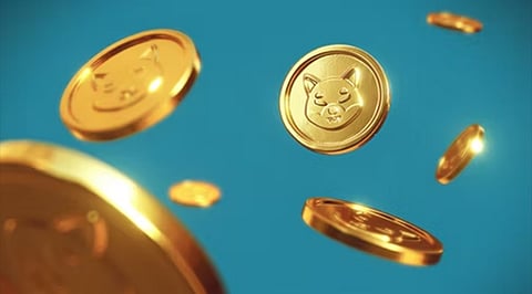 Crypto Communities Are Loading Up On Shiba Inu (SHIB), Chiliz (CHZ), and Xchange Monster (MXCH)