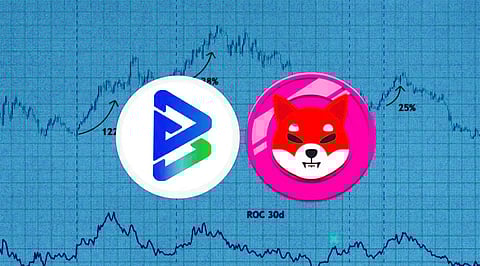 5 Reasons Bitgert Is The Coin Shiba Inu Holders Will Accumulate This August