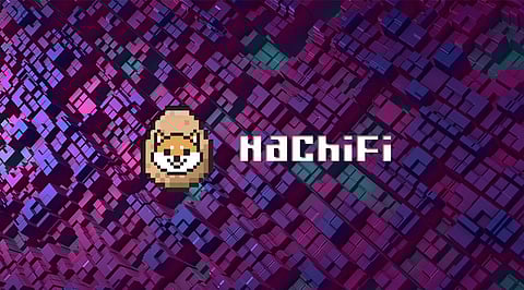 Does HachiFi Have What It Takes To Compete With Crypto Veterans Like Ethereum and Polkadot?