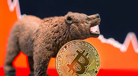 Profit in the Bear Market with Bitcoin and $11 Million Project Petrousus