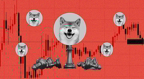 Shiba Inu is The Next Biggest Crypto Winner! Unseen Price Rally Proves