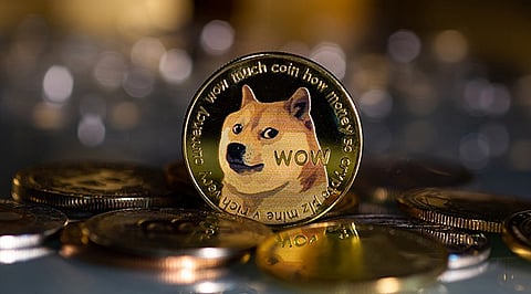 Stakenomics and Dogecoin Seem Like They Will Be the Banner Bearers of Profits in The Bear Market