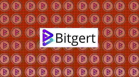 Is Bitgert Price Retesting? Read Why $BRISE is Doing Better than Polygon $MATIC and Polkadot $DOT