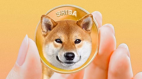 New Ecosystem Pays 250% More Passive Income than Shiba Inu