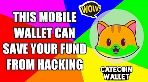 Catecoin Will Give You More Return Than Shiba Inu And Dogecoin