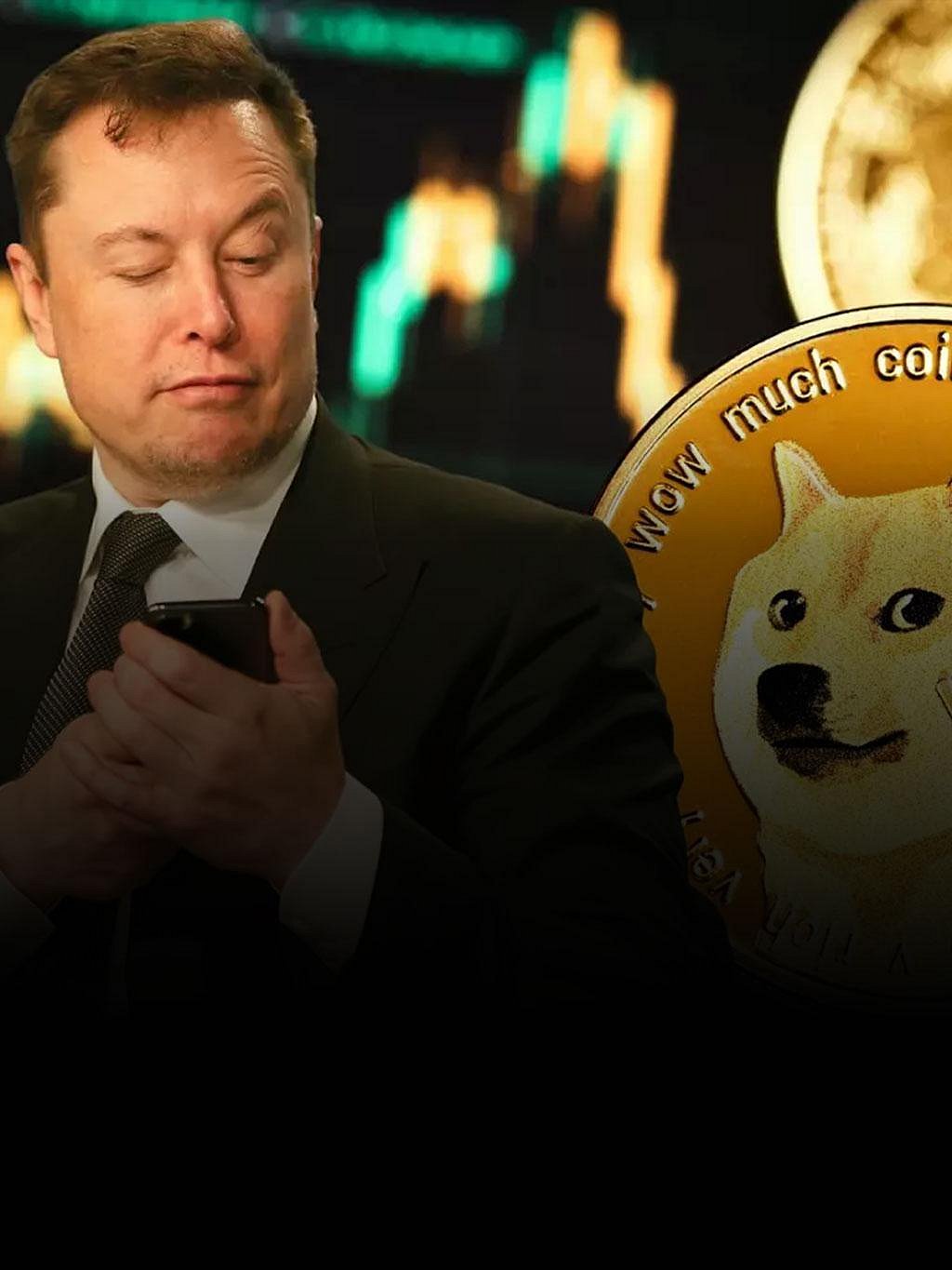 Elon musk dogecoin lawsuit (69) foto
