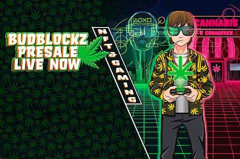 Budblockz Preferred to Cardano and Ftx Token by Crypto Newcomers