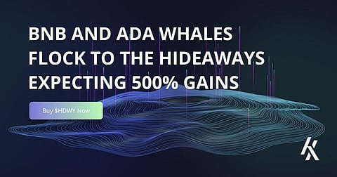 Binance Coin (BNB) and Cardano (ADA) Price Predictions for 2022 vs The Hideaways