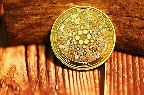 Cardano (ADA) and VeChain (VET) Bounce Back from FTX Crash