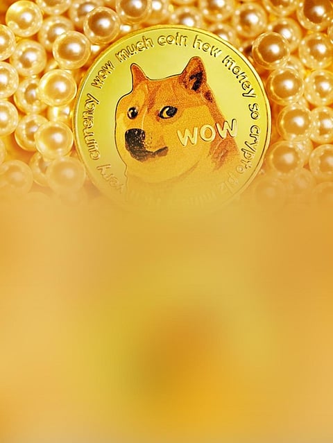 Dogecoin Emerges as The Top Intraday Gainer on CoinMarketCap
