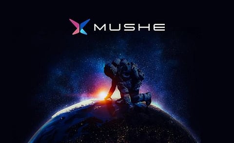 Collectors Flock Towards Mushe NFT’s, they can be as successful as Cryptopunk Investment Artwork.