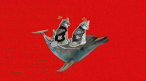 Shiba Inu is Dying! Whales are Moving in to Help Cure Bearish Trends