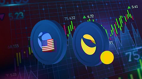 The Number Of Terra and LUNA Classic Investors Buying Bitgert (BRISE) Has Spiked
