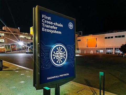 ApeCoin (APE) and Big Eyes Coin (BIG) Are Big Losers In This Bear Market While Snowfall Protocol (SWN) Investors Win Big With A Recent 250% Increase!