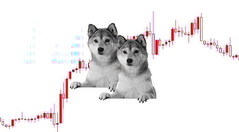 Bitcoin Freezes, Shiba Inu (SHIB) is Soaring 60%
