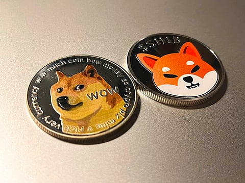 DOGE and SHIB