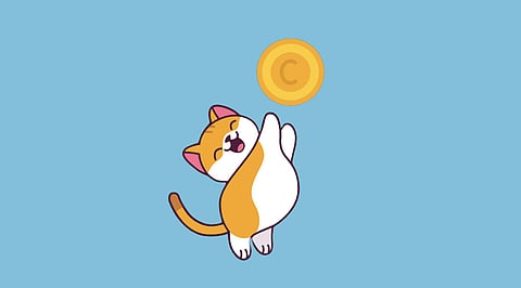 Catecoin Launches on ETHEREUM Chain: Why It Will Be a Success