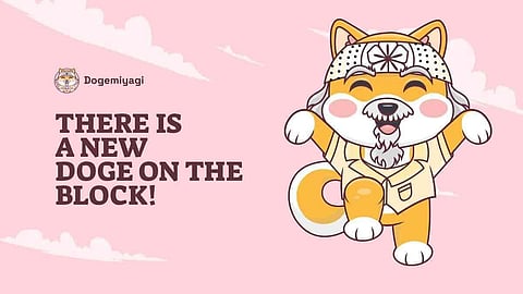 Promoting Financial Inclusion with DogeMiyagi, Bitcoin, and Ethereum