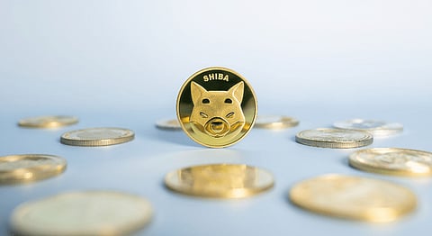 Pepe (PEPE) and Shiba (SHIB) Fall Behind as DigiToads (TOADS) Takes the Meme Coin Crown With Over $3.5 Million Raised in Presale