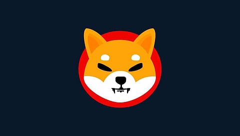 Shiba Inu (SHIB) Price Prediction – Unleashing the Potential: Dogecoin (DOGE) Rally and the Rise of Defi Saviour HedgeUp (HDUP)
