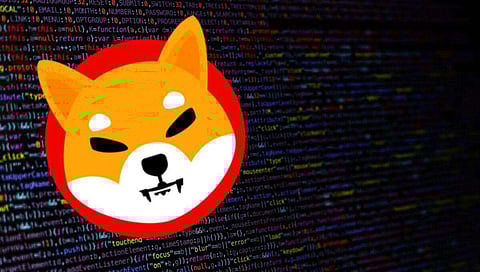 What’s the Buzz Around BNB, Dogecoin, and HedgeUp These Days?