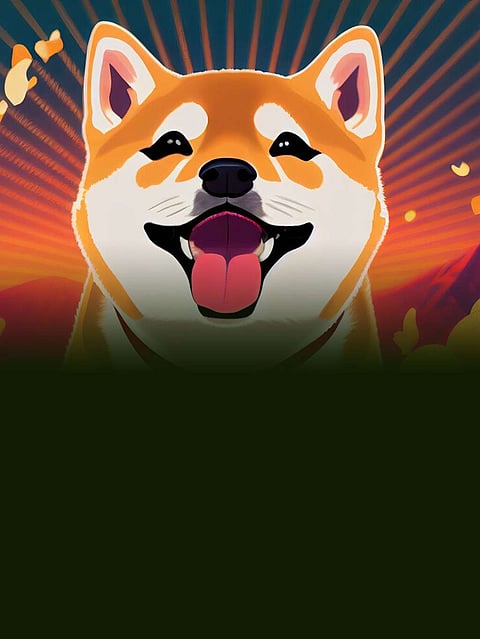 SHIB finally surges while WSM raises $1.6M in 3 Days