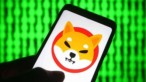 Crypto Mayhem: As the Shiba Inu Price Tumbles, Pikamoon Early Investors Are Up 300%