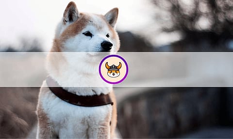Floki Inu Skyrockets 20% in 24 hours! Is This the Next Millionaire-Maker Coin?