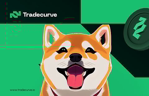 Shiba Inu vs Tradecurve: The Underdog Story of the Year